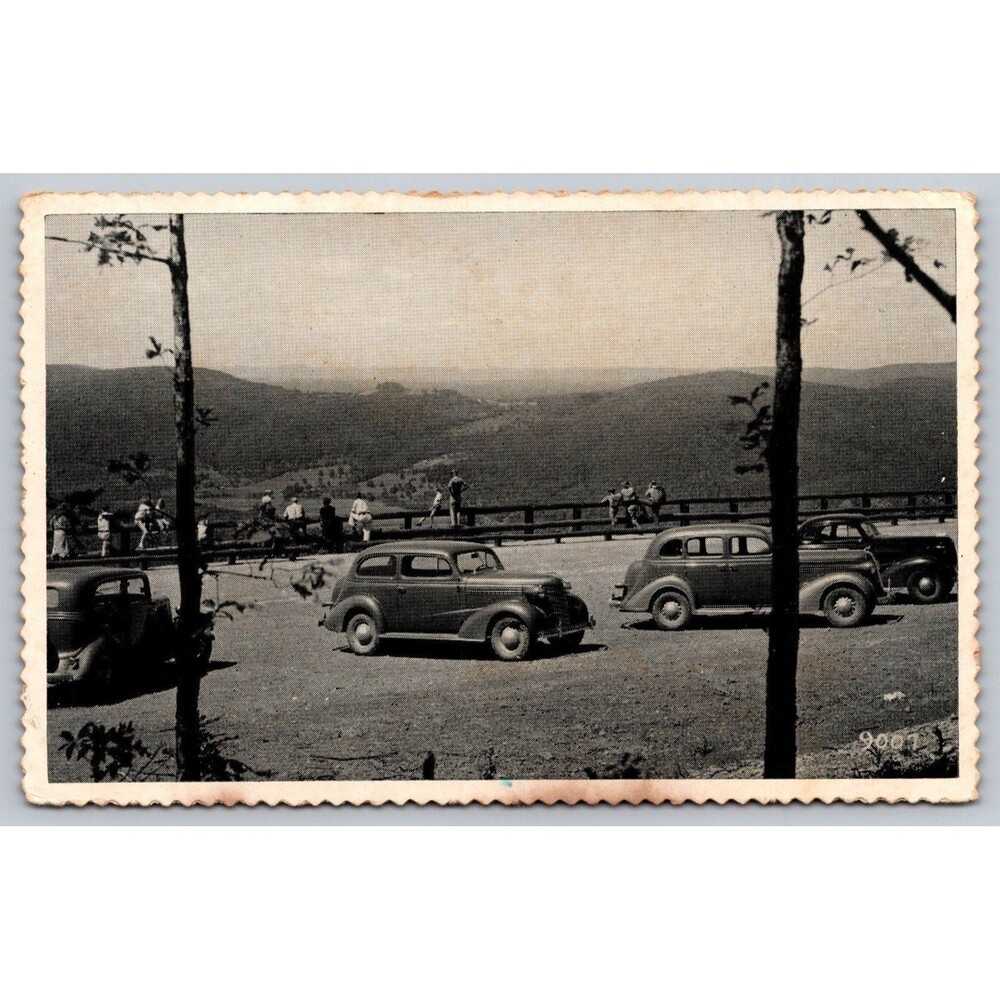 Vintage 1930s Postcard High Knob Overlook Worlds End State Park PA Old Cars CCC